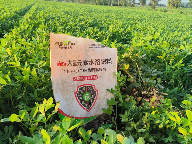 花生施肥-马希姆高钾大量元素水溶肥