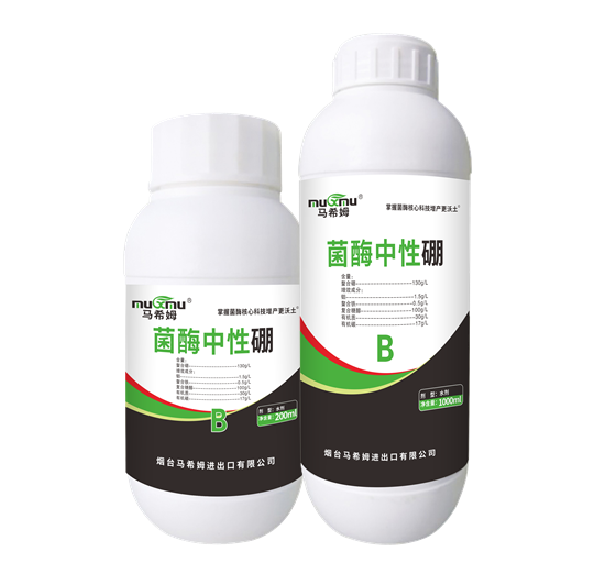 菌酶中性硼