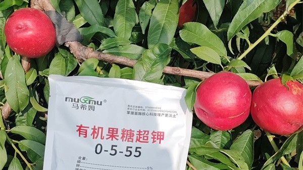 油桃<i style='color:red'>施肥技术</i>指南 油桃<i style='color:red'>施肥技术</i>指南