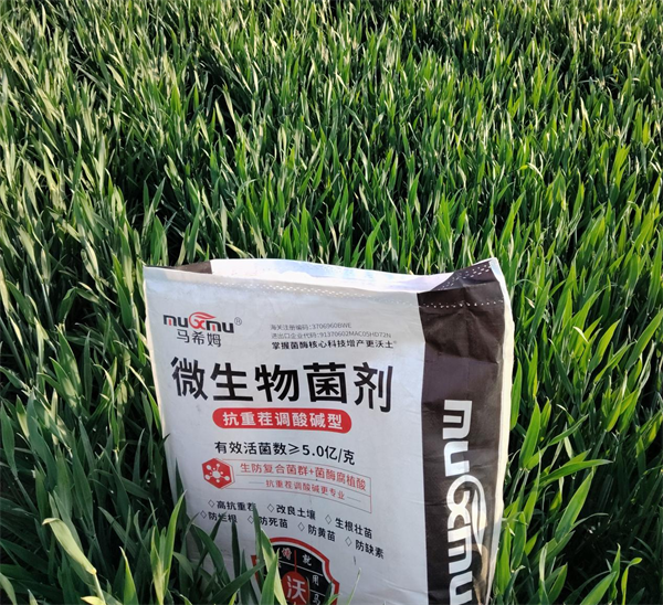 马希姆微生物菌剂 