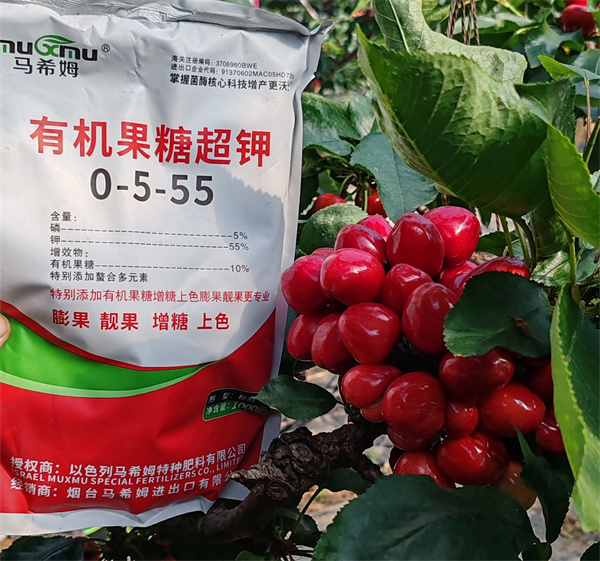 樱桃施肥-马希姆菌酶水溶肥 