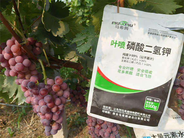 葡萄施肥-马希姆磷酸二氢钾 