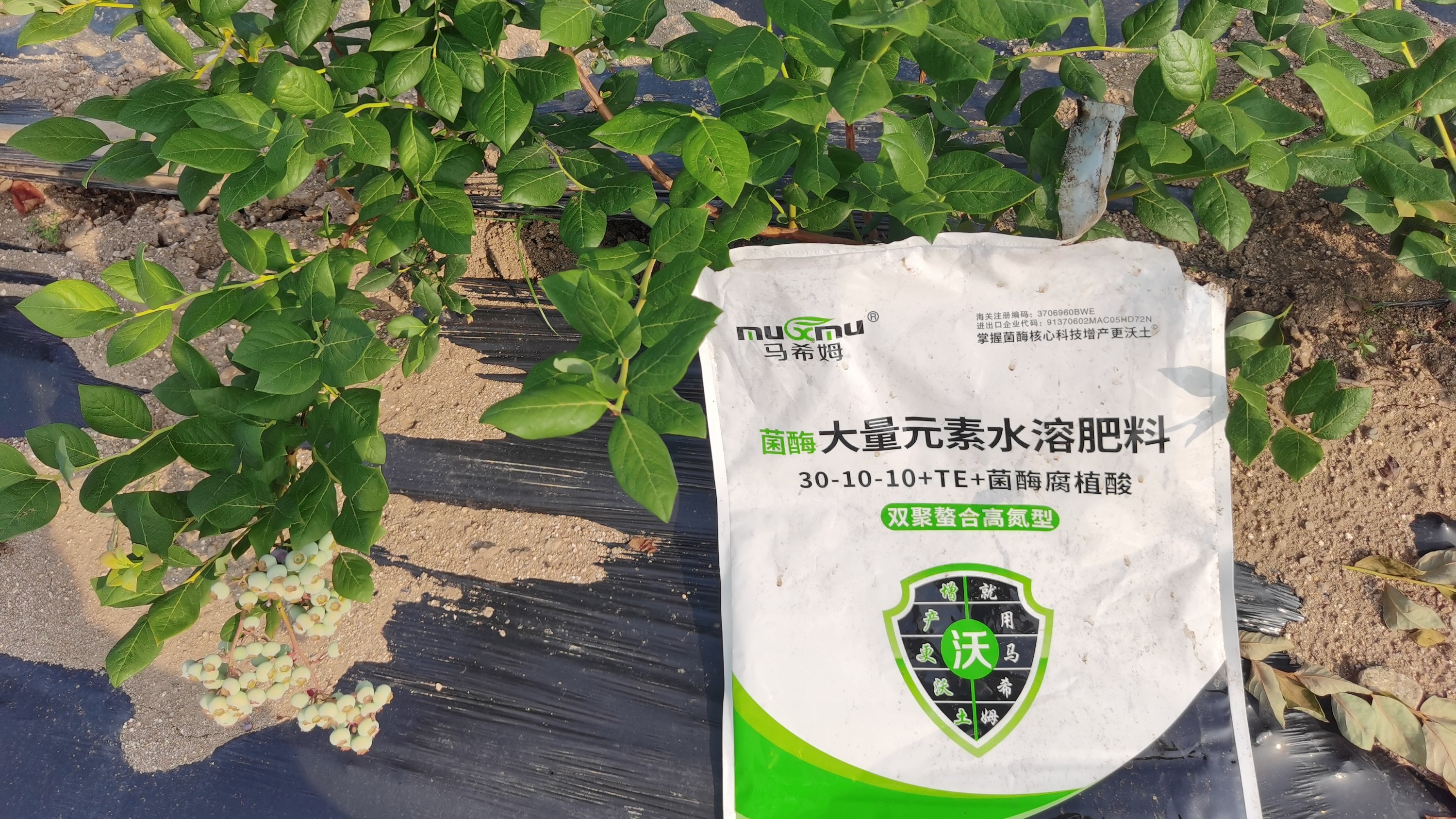 水溶肥怎么选? 水溶肥怎么选?