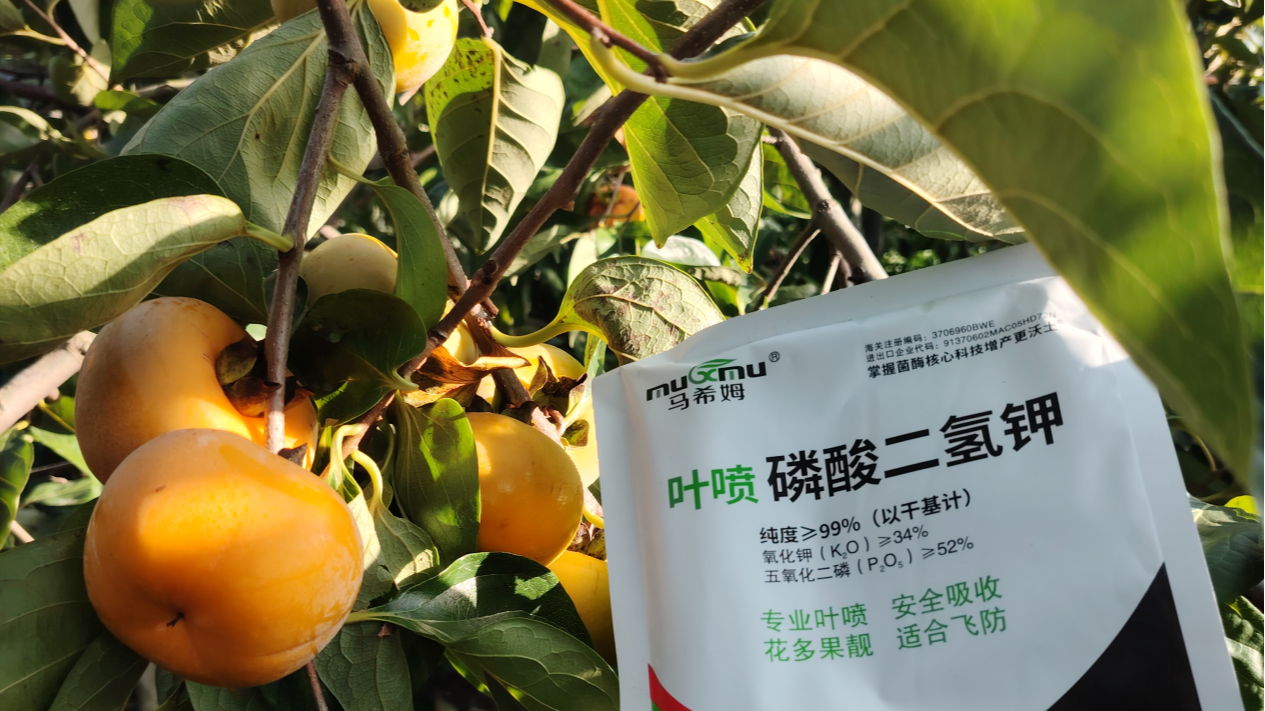 果树冬季管理要点