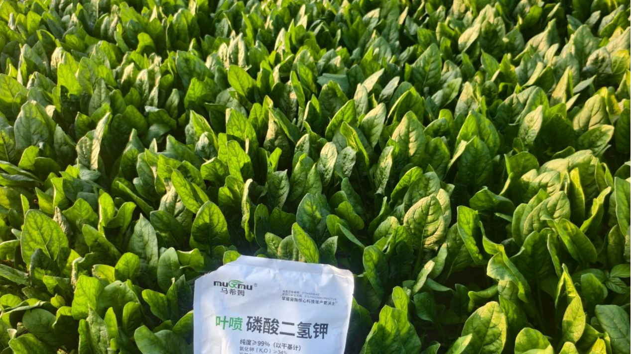 磷酸二氢钾——种植者的提质增产好帮手