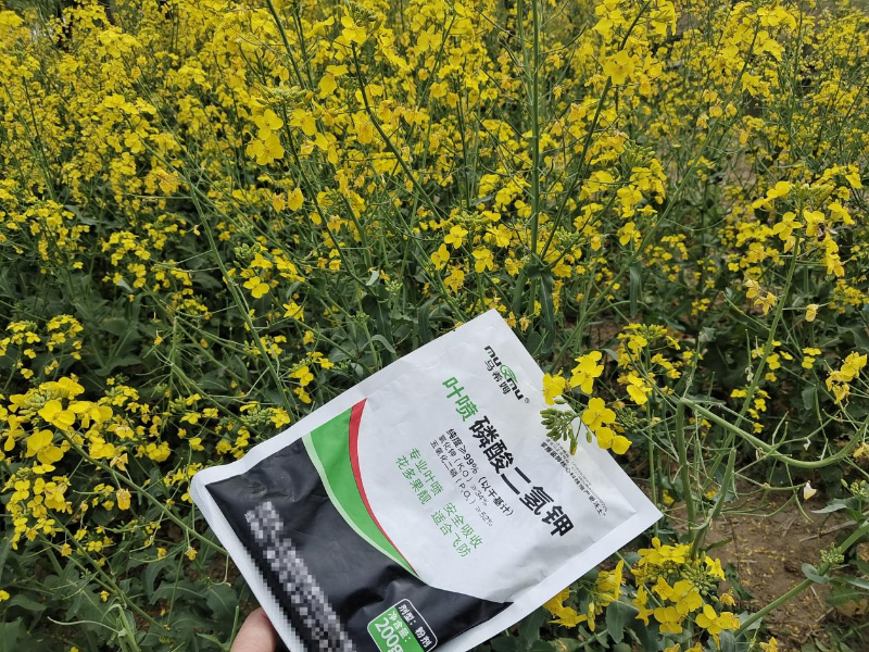 油菜种植-马希姆磷酸二氢钾
