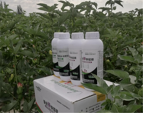 棉花施肥-马希姆菌酶特种肥