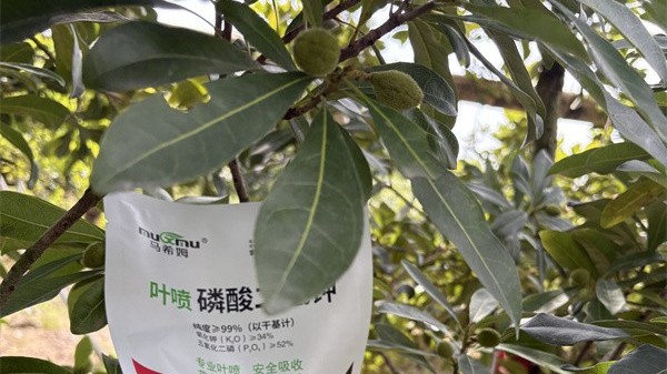 磷酸二氢钾哪个牌子好？