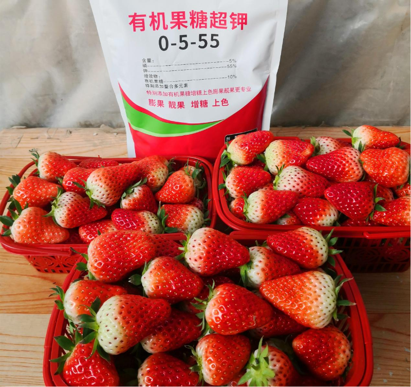 草莓施肥-马希姆有机果糖超钾