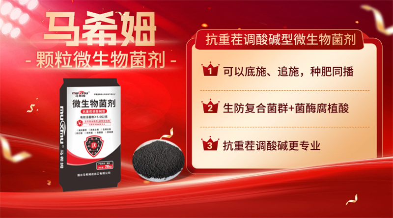 马希姆菌酶颗粒微生物菌剂
