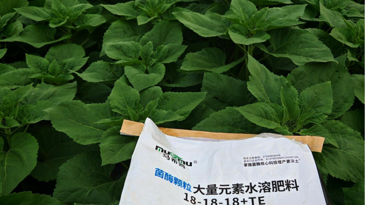 颗粒大量元素水溶肥的优势、分类及推荐