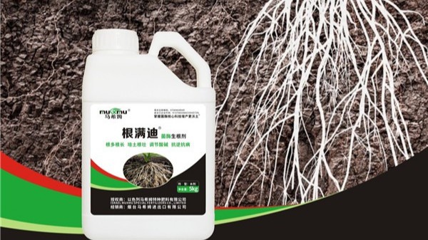 水溶肥的使用方法介绍 水溶肥的使用方法介绍