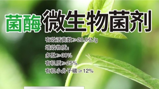 肥料怎么用能提升作物的产量和品质