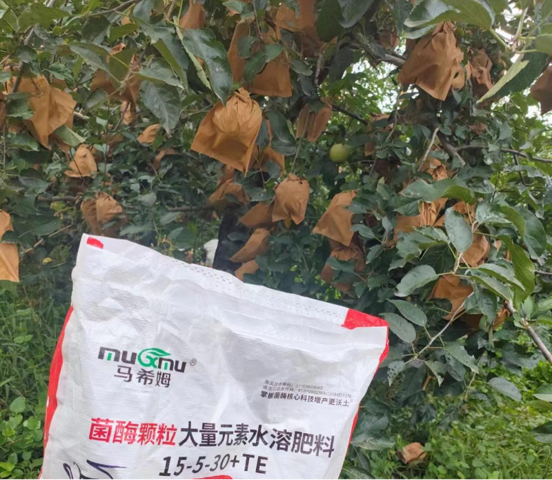 苹果施肥—马希姆高钾颗粒大量元素水溶肥