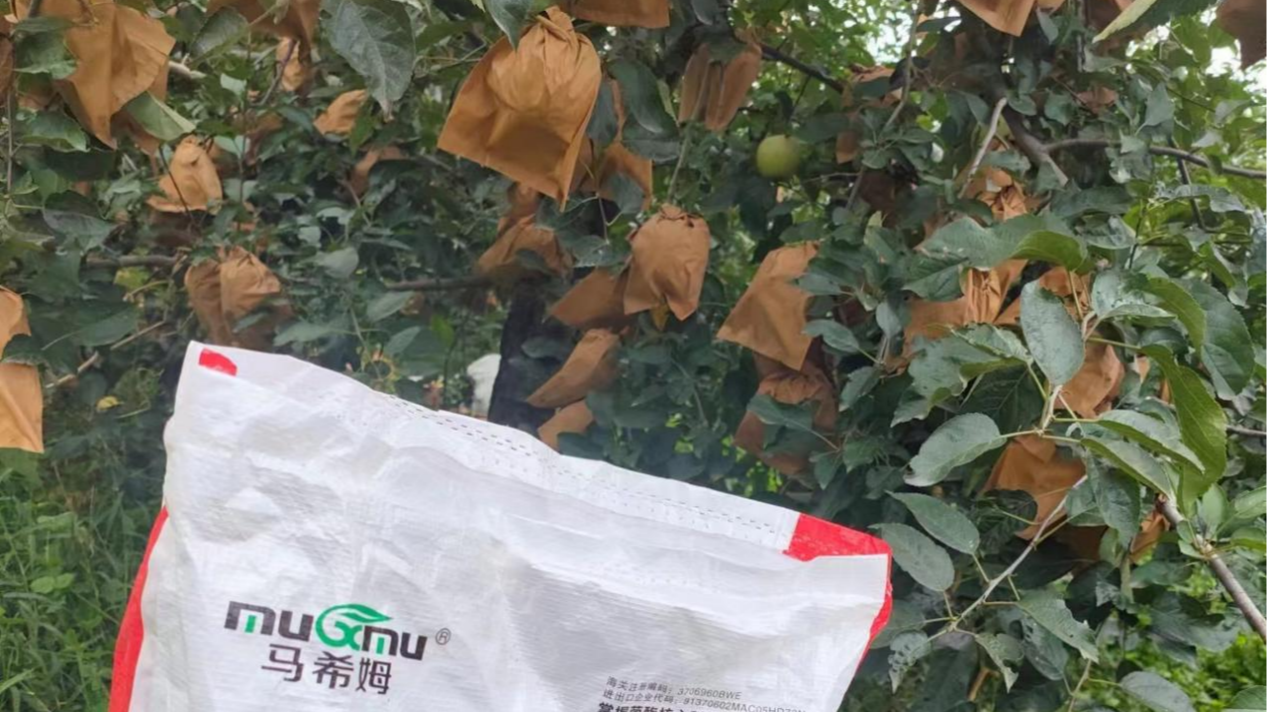 苹果树施什么肥好