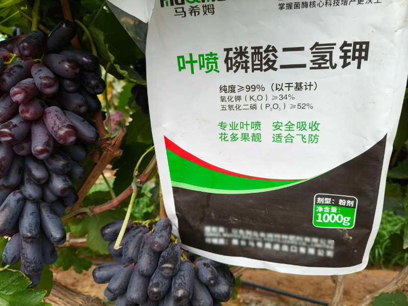 葡萄施肥—马希姆磷酸二氢钾