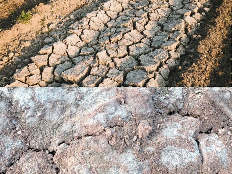 土壤板结、盐渍化