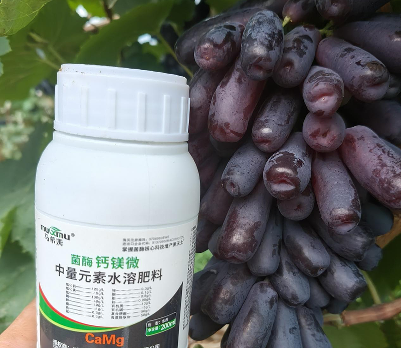 葡萄施肥-马希姆钙镁微中量元素水溶肥