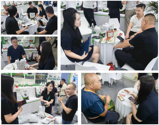 2025马希姆新疆农博会