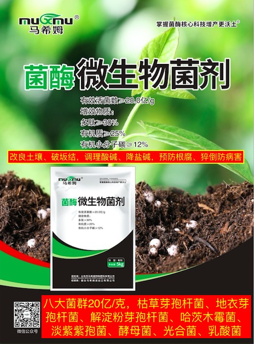 菌酶腐殖酸—马希姆菌酶微生物菌剂