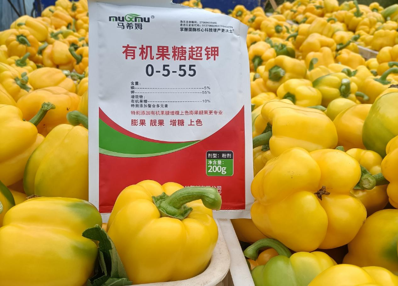 彩椒施肥-马希姆有机果糖超钾