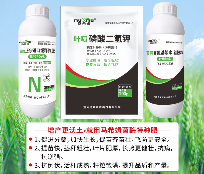 马希姆菌酶水溶肥