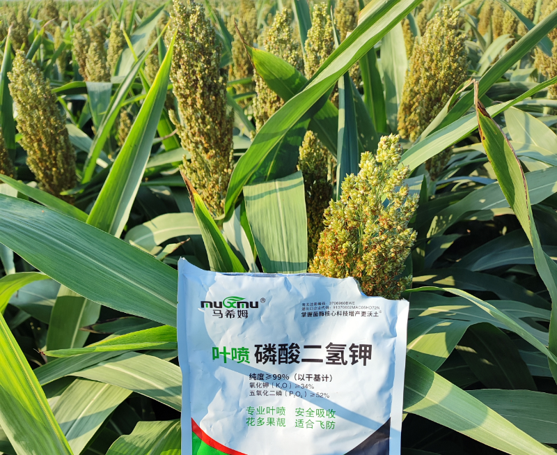 高粱施肥-马希姆磷酸二氢钾