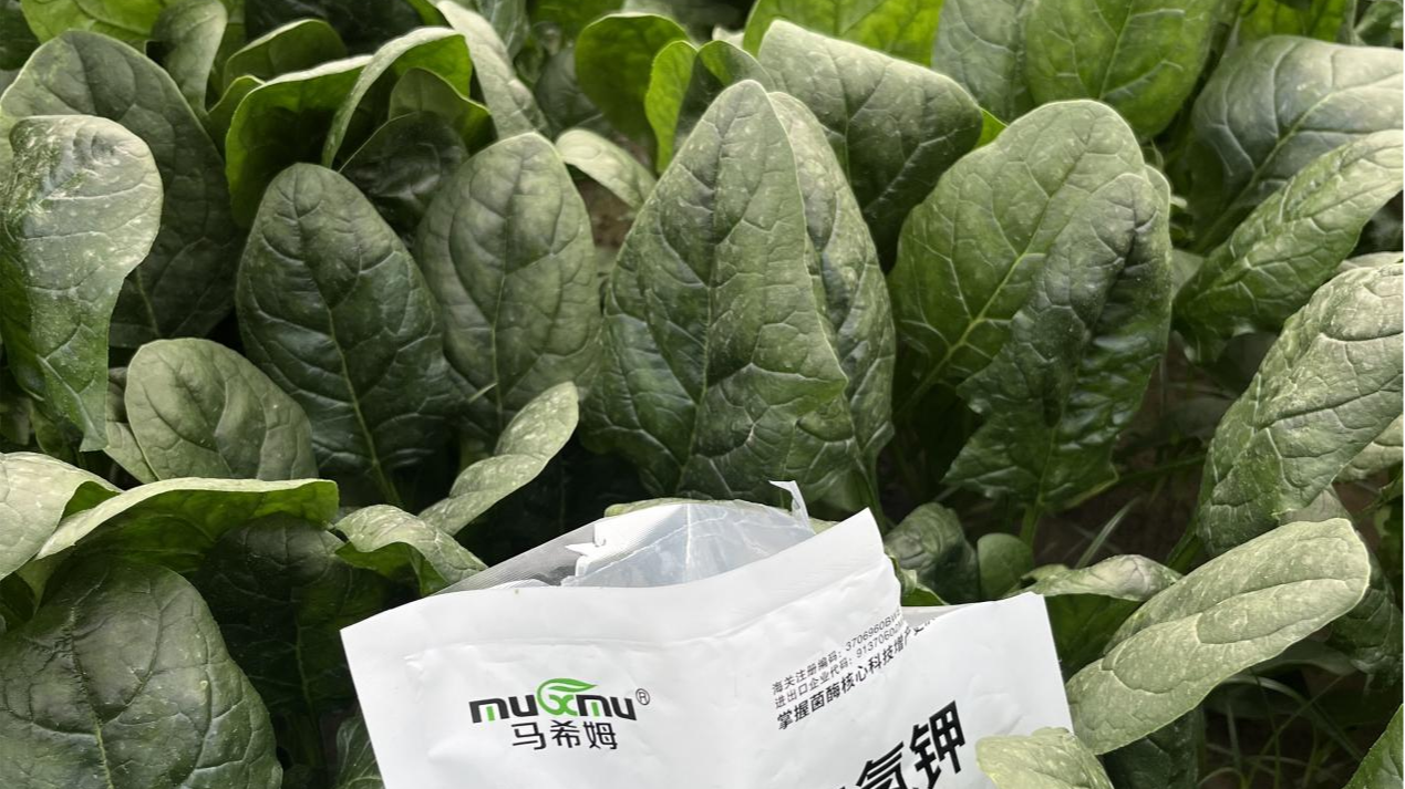 磷酸二氢钾好在哪?为何大家都在使用 磷酸二氢钾好在哪?为何大家都在使用