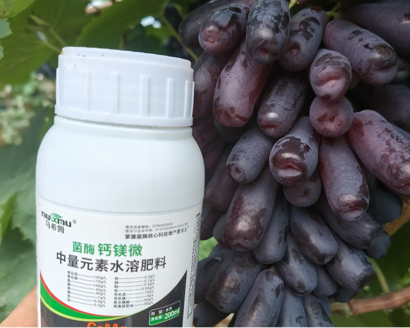 葡萄种植-马希姆钙镁微中量元素水溶肥