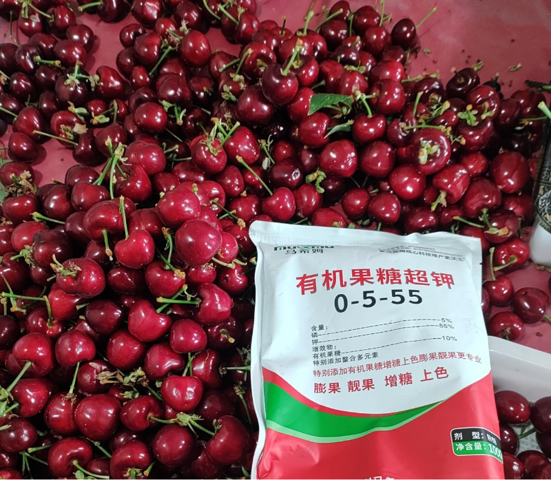 樱桃施肥—马希姆有机果糖超钾